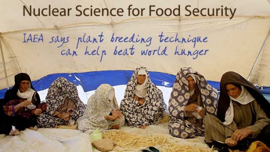 &copy; FAO / G. Napolitano