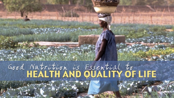 Human Health and Nutrition: Health and Quality of Life