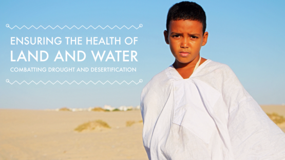 Combatting Drought and Desertification