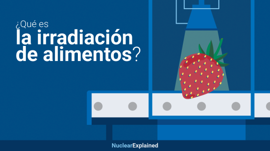 ?Qué es la irradiación de alimentos y por qué es importante?