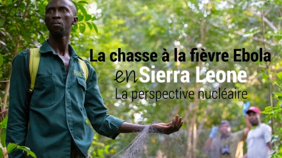 La chasse à la fièvre Ebola en Sierra Leone — la perspective nucléaire