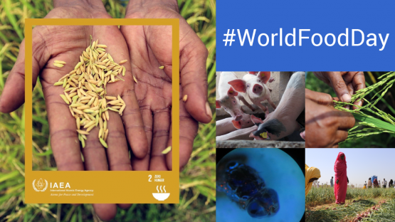 World Food Day 2019