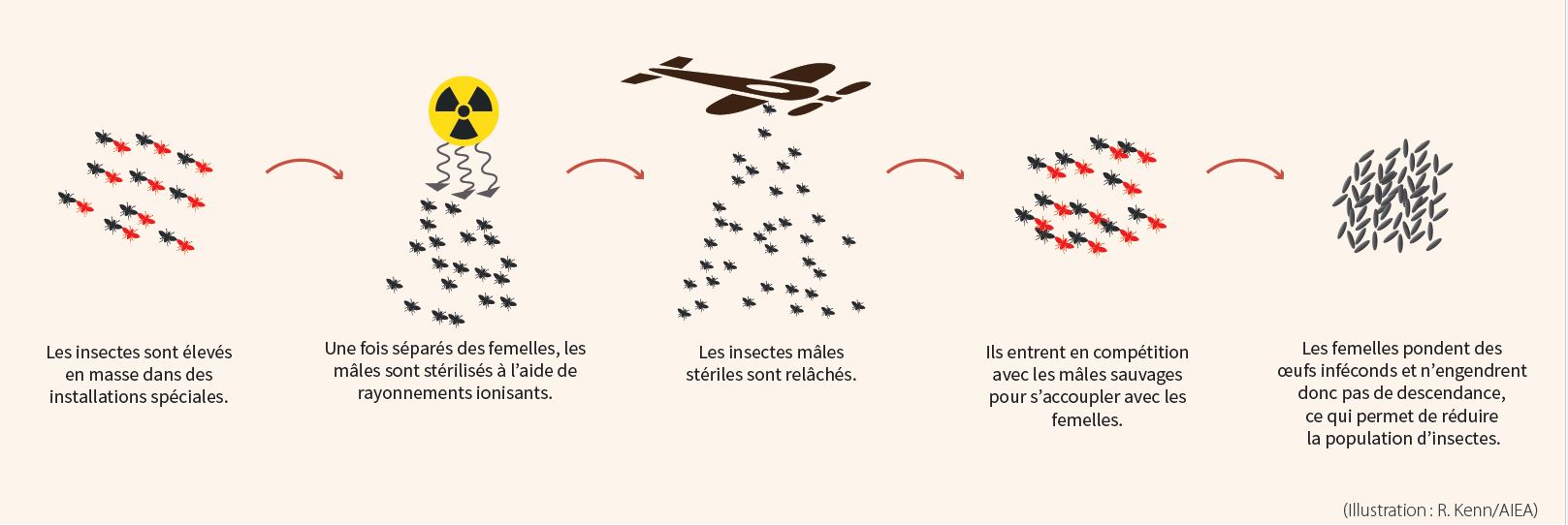 Technique de l'insecte stérile