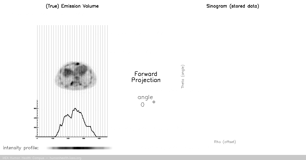 Tomo - Forward Projection Tomo - Forward Projection