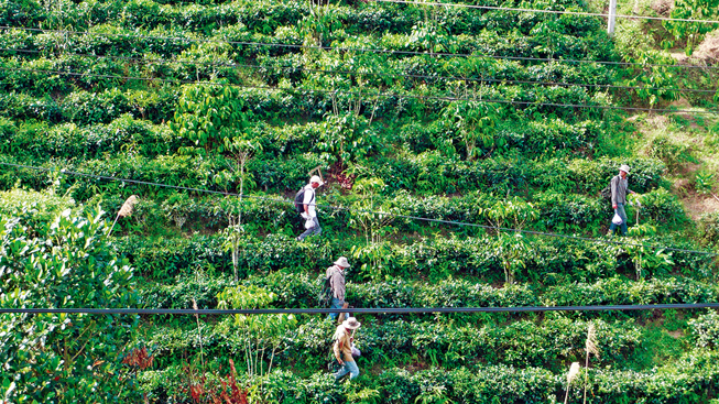 vietnam_210415_653x367.jpg