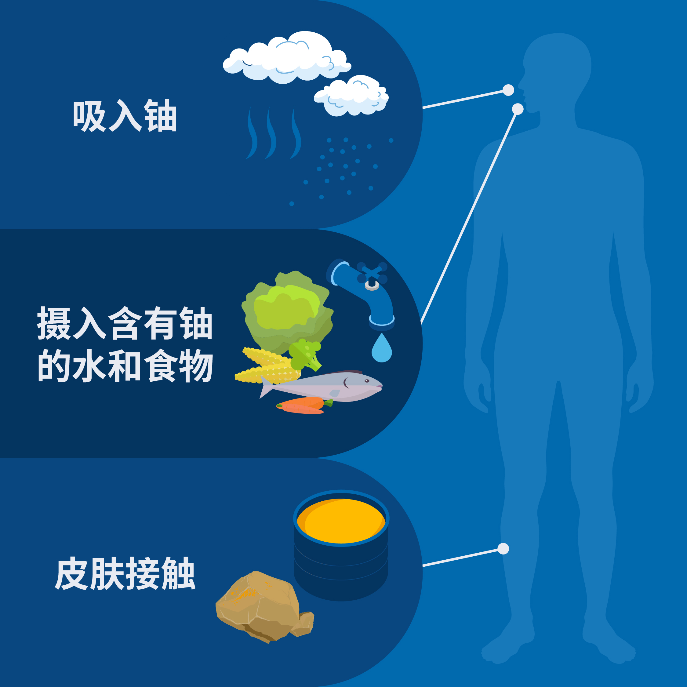 輻射是我們?nèi)粘Ｉ畹囊徊糠?，因此我們無(wú)時(shí)無(wú)刻不在接觸輻射。每人每天都會(huì)攝入和吸入少量的天然鈾。（圖片來(lái)源：A. Vargas/原子能機(jī)構(gòu)）